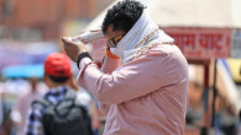 India este lovită de un val de căldură fără precedent. FOTO: Profimedia Images | Poza 14 din 19