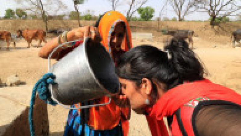 India este lovită de un val de căldură fără precedent. FOTO: Profimedia Images | Poza 16 din 19