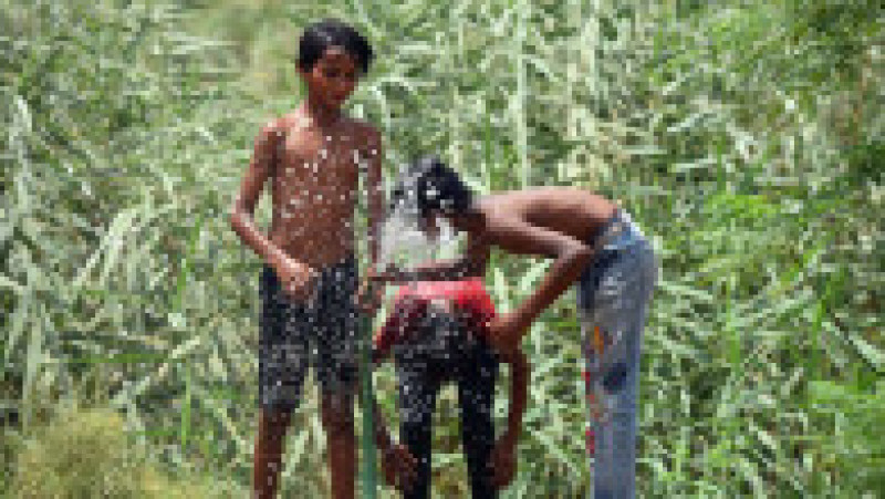India este lovită de un val de căldură fără precedent. FOTO: Profimedia Images | Poza 8 din 19