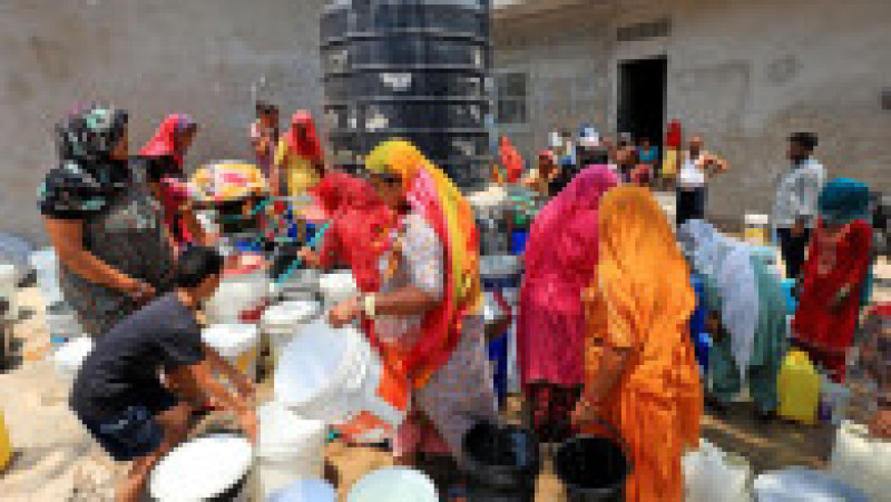 India este lovită de un val de căldură fără precedent. FOTO: Profimedia Images | Poza 17 din 19