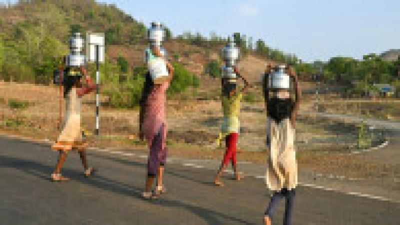 India se confruntă cu o vară extrem de fierbinte. FOTO: Profimedia Images | Poza 3 din 8