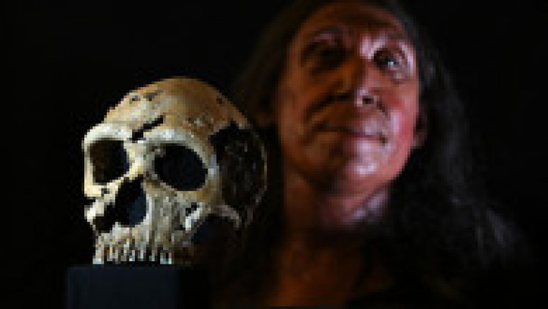 Chipul unei femei de Neanderthal care a trăit acum 75.000 de ani. Foto: Profimedia | Poza 2 din 4