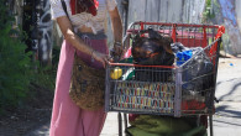 Loni Willison, care a fost cândva model de succes, trăiește acum pe străzile din Los Angeles FOTO: Profimedia Images | Poza 48 din 53