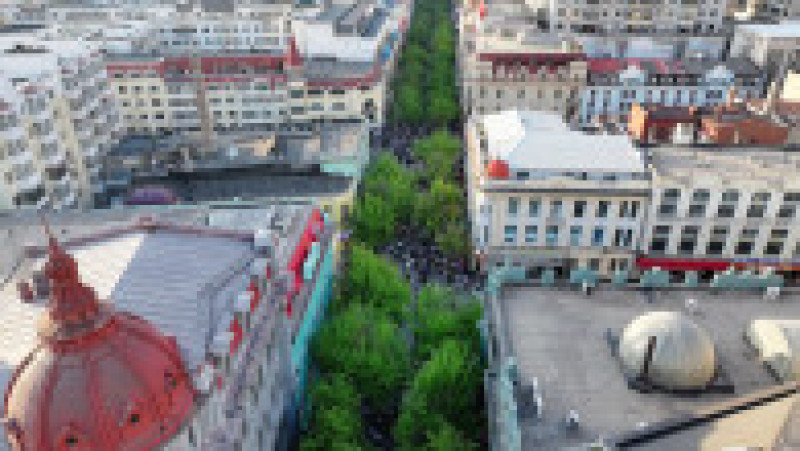 Vladimir Putin este pentru a doua zi în China și a vizitat orașul Harbin, supranumit "Mica Moscovă". FOTO: Profimedia Images | Poza 7 din 7