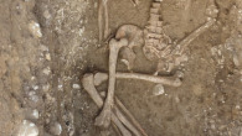 Morminte din Epoca Bronzului descoperite pe un câmp din Prahova. Sursa foto: Muzeul Judetean de Istorie si Arheologie Prahova.JPG | Poza 23 din 33