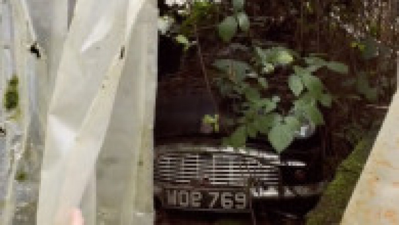 O femeie a descoperit într-un hambar abandonat dintr-o pădure din Anglia 50 de mașini rare de epocă FOTO: Profimedia Images | Poza 11 din 18