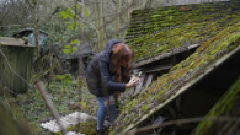 O femeie a descoperit într-un hambar abandonat dintr-o pădure din Anglia 50 de mașini rare de epocă FOTO: Profimedia Images | Poza 16 din 18