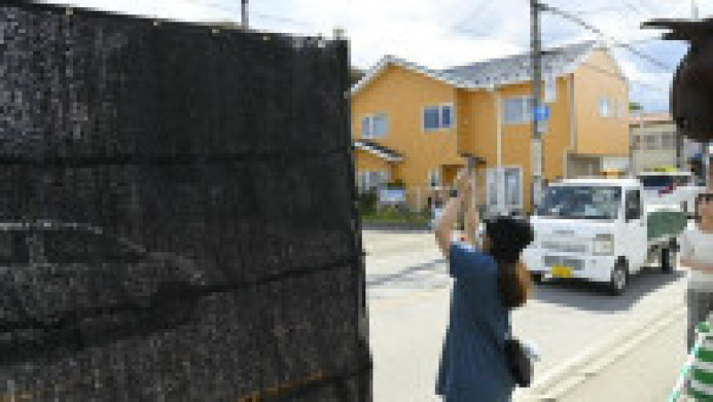 Un oraş din Japonia blochează o privelişte virală cu Muntele Fuji. Foto: Profimedia | Poza 4 din 11