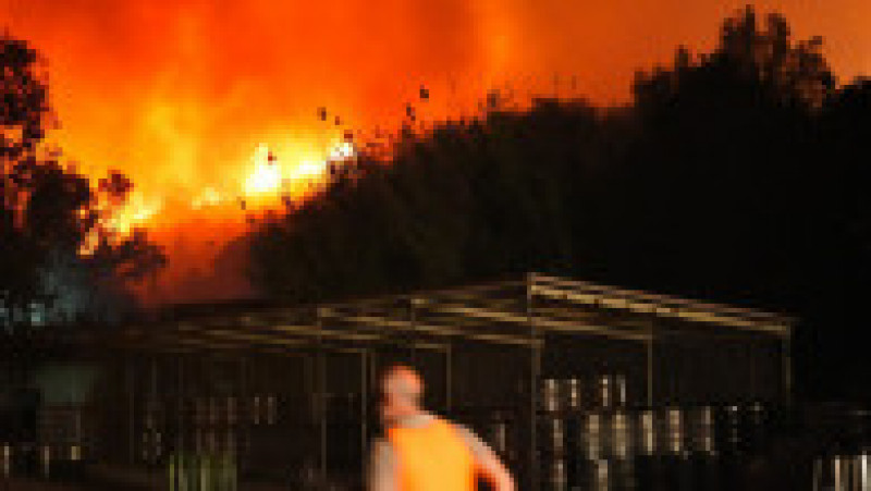 Incendiu de amploare la Kușadasî. Foto: Profimedia | Poza 6 din 10