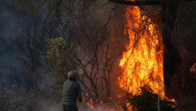 Incendiu de amploare la Kușadasî. Foto: Profimedia | Poza 8 din 10