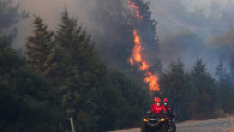 Incendiu de amploare la Kușadasî. Foto: Profimedia | Poza 9 din 10