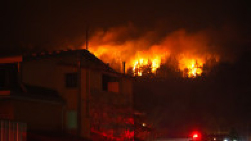 Incendiu de amploare la Kușadasî. Foto: Profimedia | Poza 10 din 10
