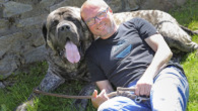 La 125 kg, Uriáš, un mastiff englez de 125 de kilograme a stabilit recordul pentru cel mai greu câine din Cehia FOTO: Profimedia Images | Poza 7 din 7
