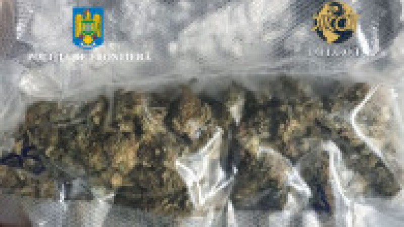 Un român a fost prins cu canabis ascuns la bateria mașinii, în Vama Borș. Sursa foto: DIICOT | Poza 1 din 4