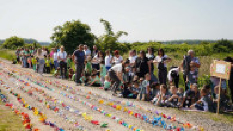 Un şirag de flori din PET-uri, lung de 330 de metri și realizat de copii de grădiniţă din Satu Mare, a intrat în Cartea Recordurilor. Sursa foto: Facebook / Asociația Copacul Vieții | Poza 6 din 10