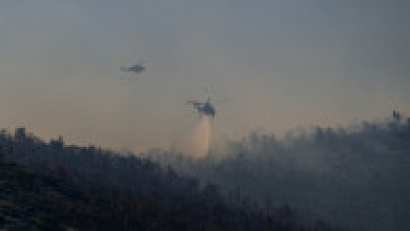 Un incendiu de pădure a izbucnit sâmbătă după-amiază pe Muntele Parnitha, în apropiere de Atena. FOTO: Profimedia Images | Poza 2 din 5