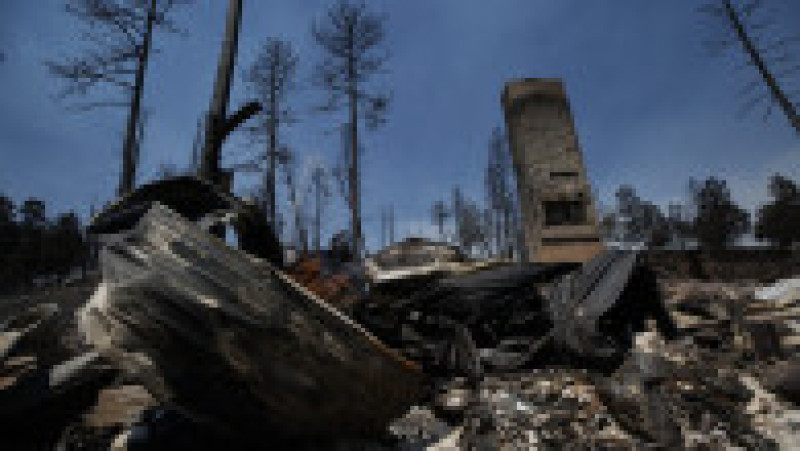 Doi oameni au murit în incendiile de vegetaţie din sudul statului american New Mexico, care au pârjolit aproximativ 500 de gospodării. FOTO: Profimedia Images | Poza 5 din 13