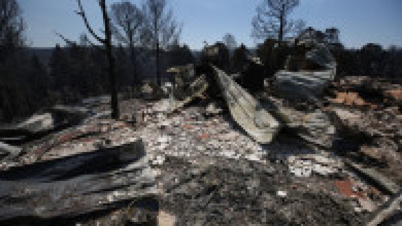 Doi oameni au murit în incendiile de vegetaţie din sudul statului american New Mexico, care au pârjolit aproximativ 500 de gospodării. FOTO: Profimedia Images | Poza 8 din 13