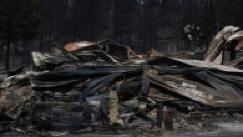 Doi oameni au murit în incendiile de vegetaţie din sudul statului american New Mexico, care au pârjolit aproximativ 500 de gospodării. FOTO: Profimedia Images | Poza 9 din 13
