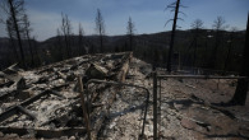 Doi oameni au murit în incendiile de vegetaţie din sudul statului american New Mexico, care au pârjolit aproximativ 500 de gospodării. FOTO: Profimedia Images | Poza 3 din 13