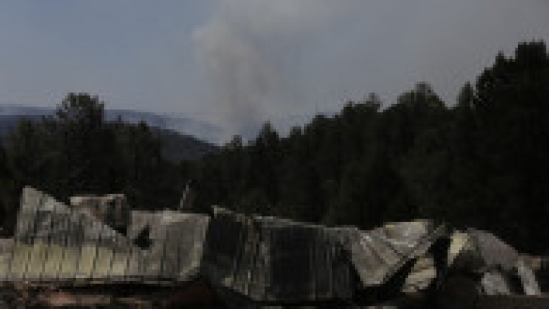 Doi oameni au murit în incendiile de vegetaţie din sudul statului american New Mexico, care au pârjolit aproximativ 500 de gospodării. FOTO: Profimedia Images | Poza 1 din 13