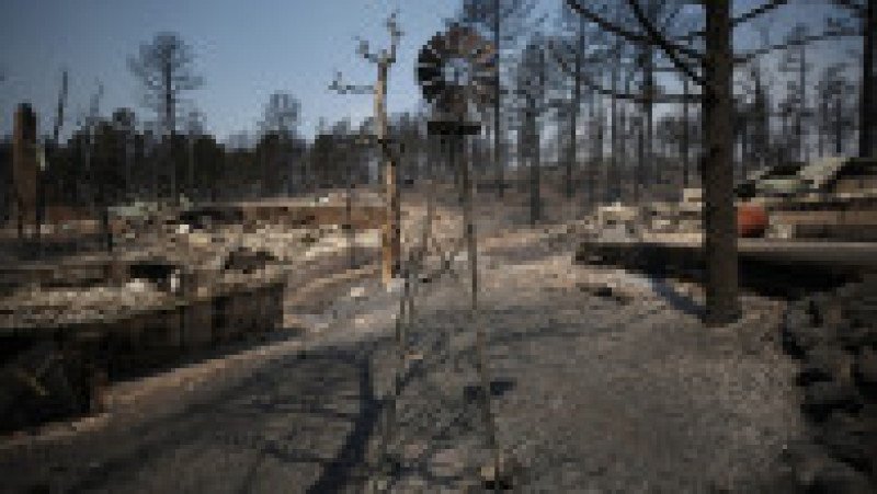 Doi oameni au murit în incendiile de vegetaţie din sudul statului american New Mexico, care au pârjolit aproximativ 500 de gospodării. FOTO: Profimedia Images | Poza 13 din 13