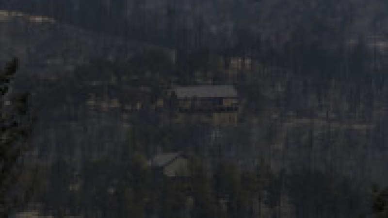 Doi oameni au murit în incendiile de vegetaţie din sudul statului american New Mexico, care au pârjolit aproximativ 500 de gospodării. FOTO: Profimedia Images | Poza 10 din 13