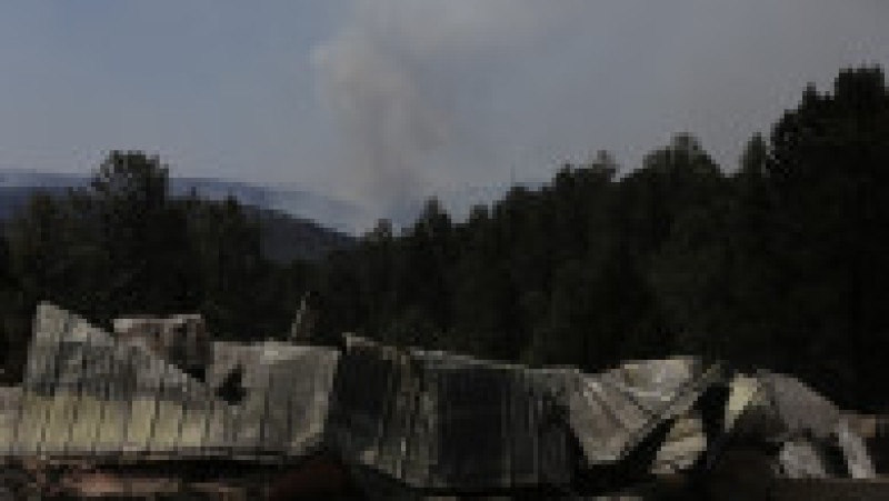 Doi oameni au murit în incendiile de vegetaţie din sudul statului american New Mexico, care au pârjolit aproximativ 500 de gospodării. FOTO: Profimedia Images | Poza 11 din 13