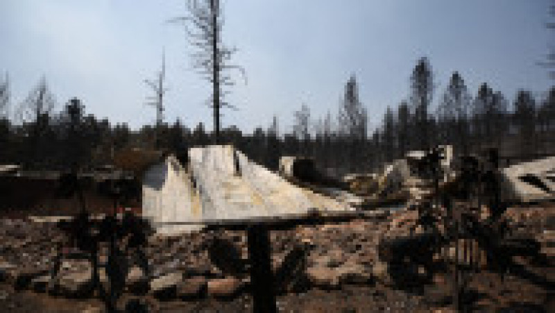 Doi oameni au murit în incendiile de vegetaţie din sudul statului american New Mexico, care au pârjolit aproximativ 500 de gospodării. FOTO: Profimedia Images | Poza 12 din 13