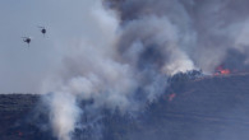 Zeci de incendii s-au declanşat în weekend în Grecia. FOTO: Profimedia Images | Poza 6 din 15