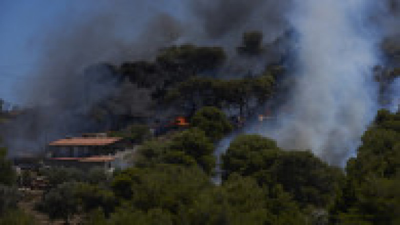 Zeci de incendii s-au declanşat în weekend în Grecia. FOTO: Profimedia Images | Poza 2 din 15