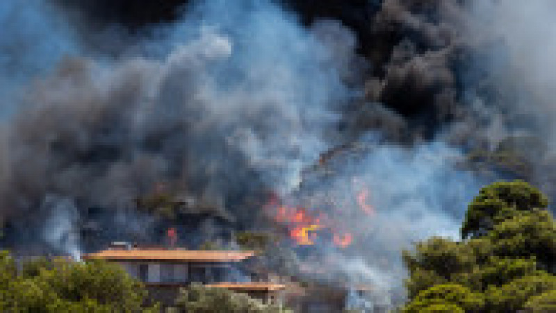 Zeci de incendii s-au declanşat în weekend în Grecia. FOTO: Profimedia Images | Poza 13 din 15