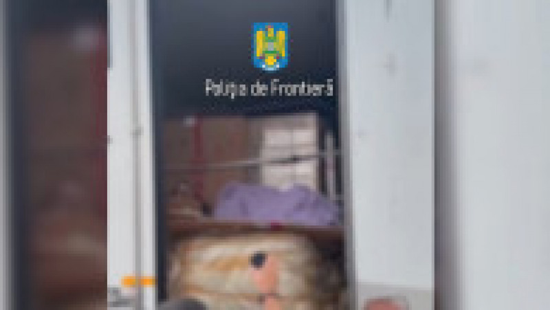 Migranți ascunși într-un camion cu pâine congelată. Sursa foto: Poliția de Frontieră | Poza 3 din 5