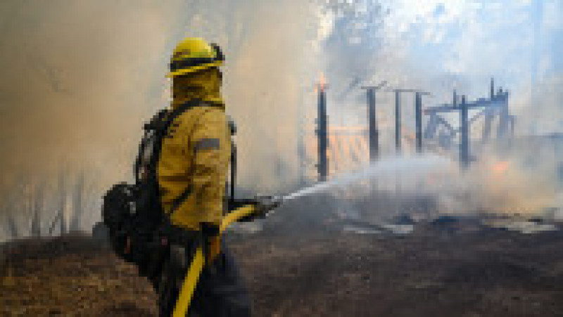 Incendiu în California. Foto: Profimedia Images | Poza 7 din 8