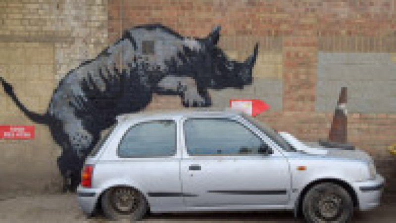 Banksy părea că și-a încheiat jungla urbană cu un rinocer urcat pe un Nissan Micra abandonat. Foto: Profimedia Images | Poza 8 din 15