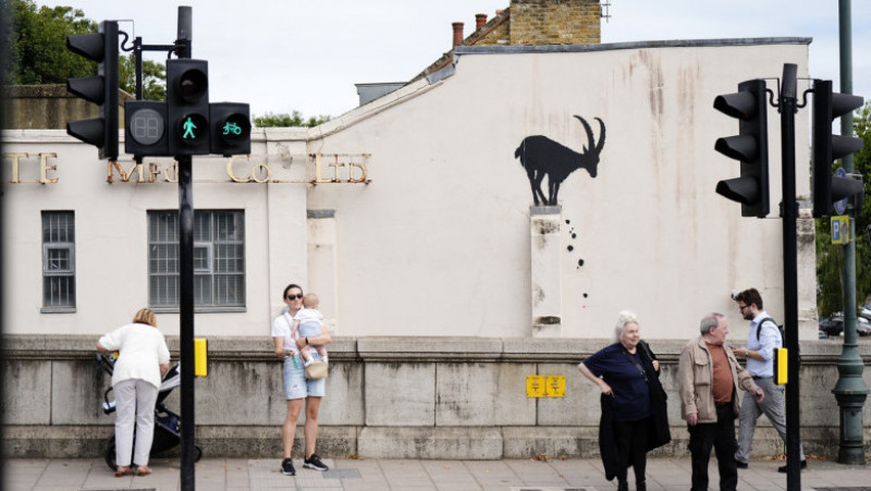 Seria cu animale de la Londra a început cu o capră cocoțată pe o clădire din cartierul Kew. Foto: Profimedia Images