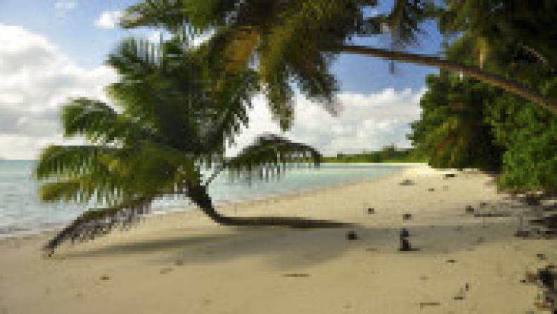 Foto: Shutterstock | Poza 2 din 3
