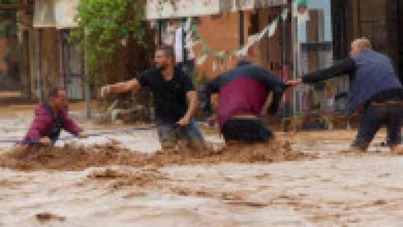 Foto: Profimedia | Poza 4 din 15