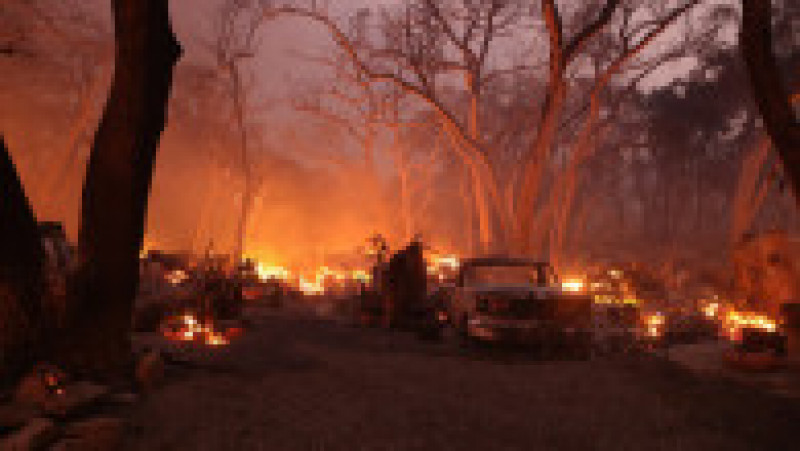 Peste 5.700 de persoane au fost mobilizate pentru a lupta împotriva celor trei incendii care fac ravagii în California. Sursa foto: Profimedia Images | Poza 7 din 19