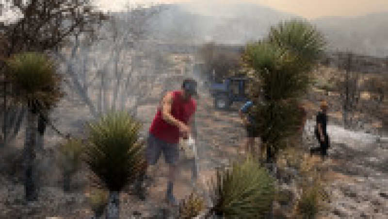 Peste 5.700 de persoane au fost mobilizate pentru a lupta împotriva celor trei incendii care fac ravagii în California. Sursa foto: Profimedia Images | Poza 15 din 19