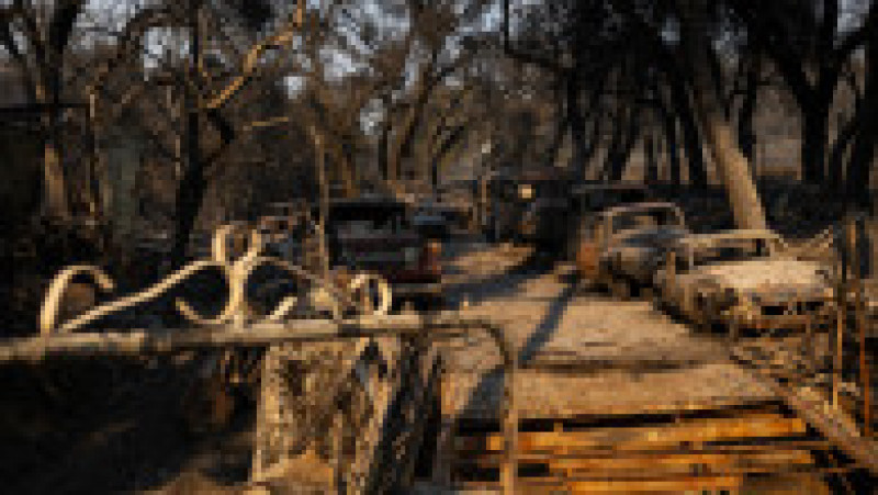 Peste 5.700 de persoane au fost mobilizate pentru a lupta împotriva celor trei incendii care fac ravagii în California. Sursa foto: Profimedia Images | Poza 16 din 19