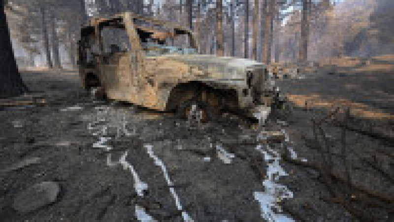 Peste 5.700 de persoane au fost mobilizate pentru a lupta împotriva celor trei incendii care fac ravagii în California. Sursa foto: Profimedia Images | Poza 14 din 19