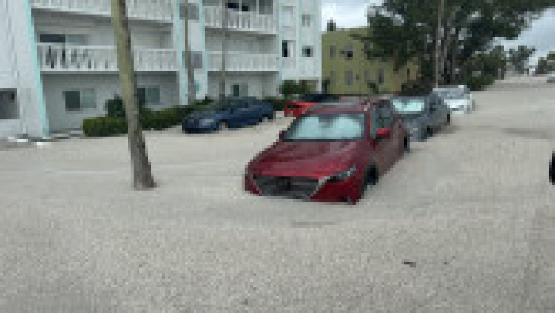 Foto: Profimedia | Poza 8 din 45