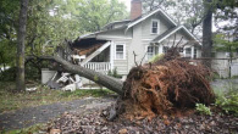 Foto: Profimedia | Poza 5 din 45