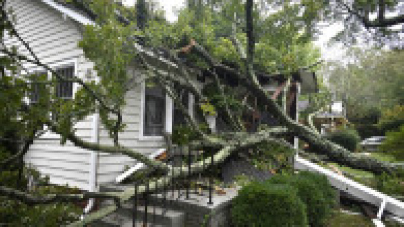 Foto: Profimedia | Poza 6 din 45