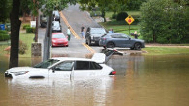 Foto: Profimedia | Poza 4 din 45