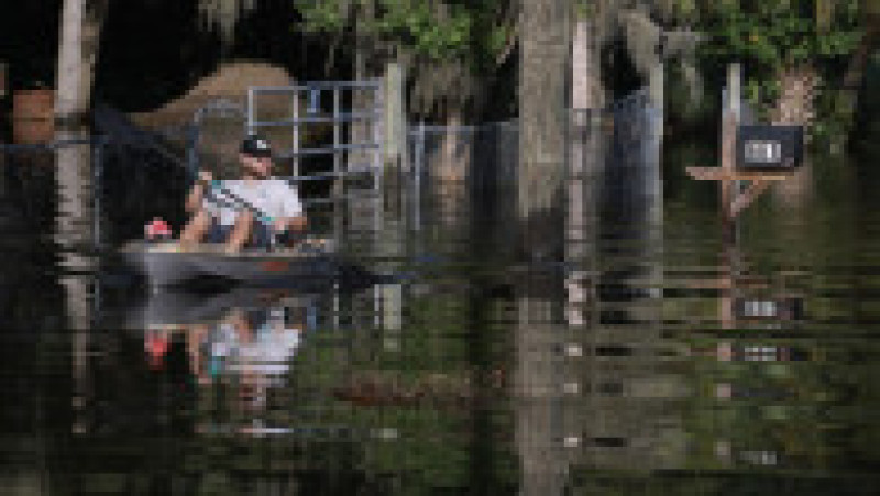 Foto: Profimedia | Poza 16 din 45