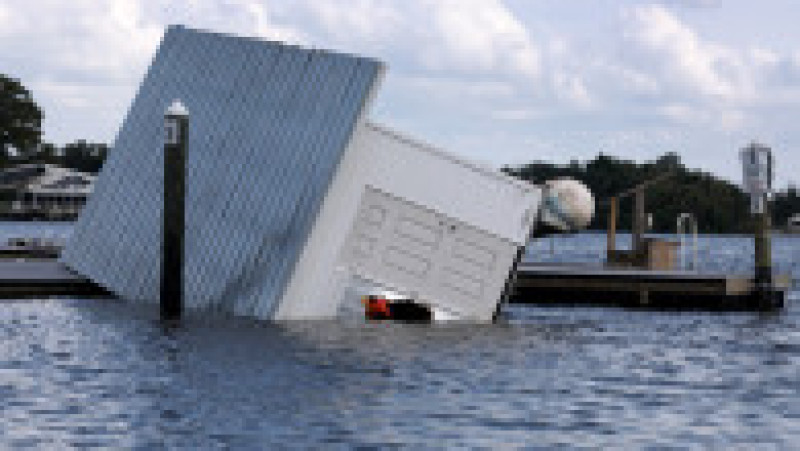 Foto: Profimedia | Poza 12 din 45