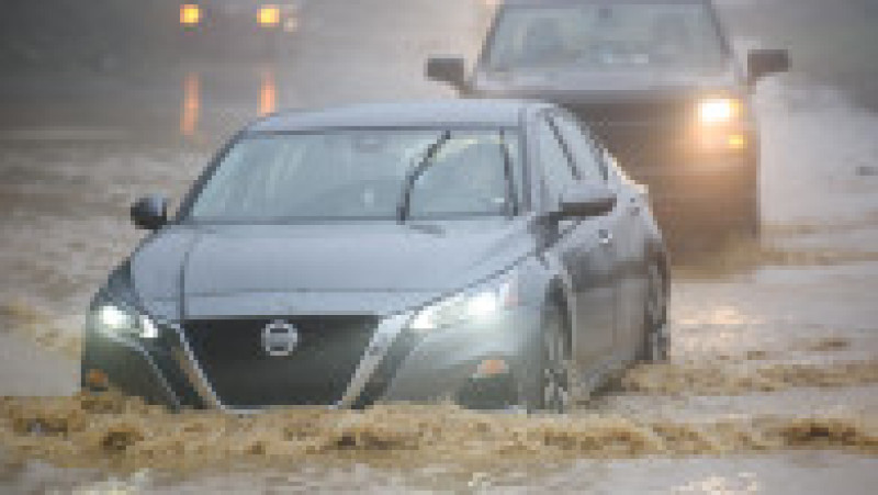 Foto: Profimedia | Poza 23 din 45