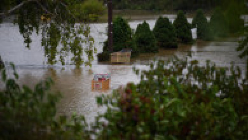 Foto: Profimedia | Poza 24 din 45
